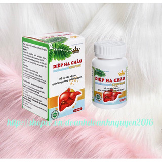 DIỆP HẠ CHÂU  Kingphar -Hộp 40 viên-  Giải Độc Gan, Thanh Lọc Cơ Thể