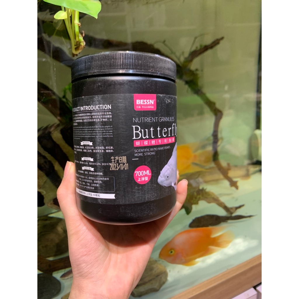 Cám cá Chép Sư Tử Bessn Butterfly giàu đạm, tảo xoắn và vitamin hộp 700ml