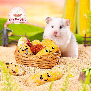 CARNO Bịch 5 bắp ngô mài răng cho hamster