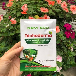 Trichoderma Phòng Ngừa Thối Rễ, Thối Gốc, Vàng Lá, Héo Rũ, Nấm đối kháng + Men vi sinh ủ rác ủ phân xử lý đất trồng