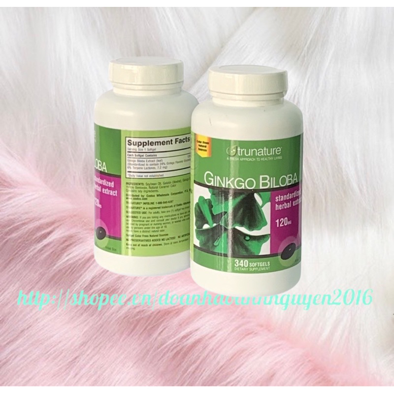 Viên Uống Bổ Não GINKGO BILOBA 340 Viên Của Mỹ