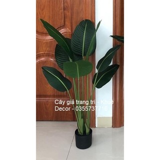 Cây chuối giả 1m2