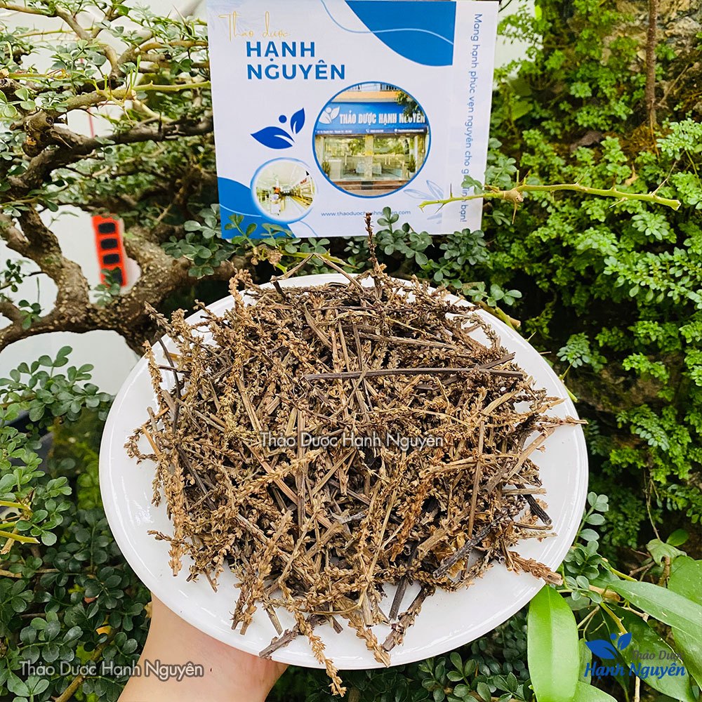 Bông mã đề khô 100g, hàng loại 1, bông sạch, thơm, ko lẫn lá - Thảo Dược Hạnh Nguyên