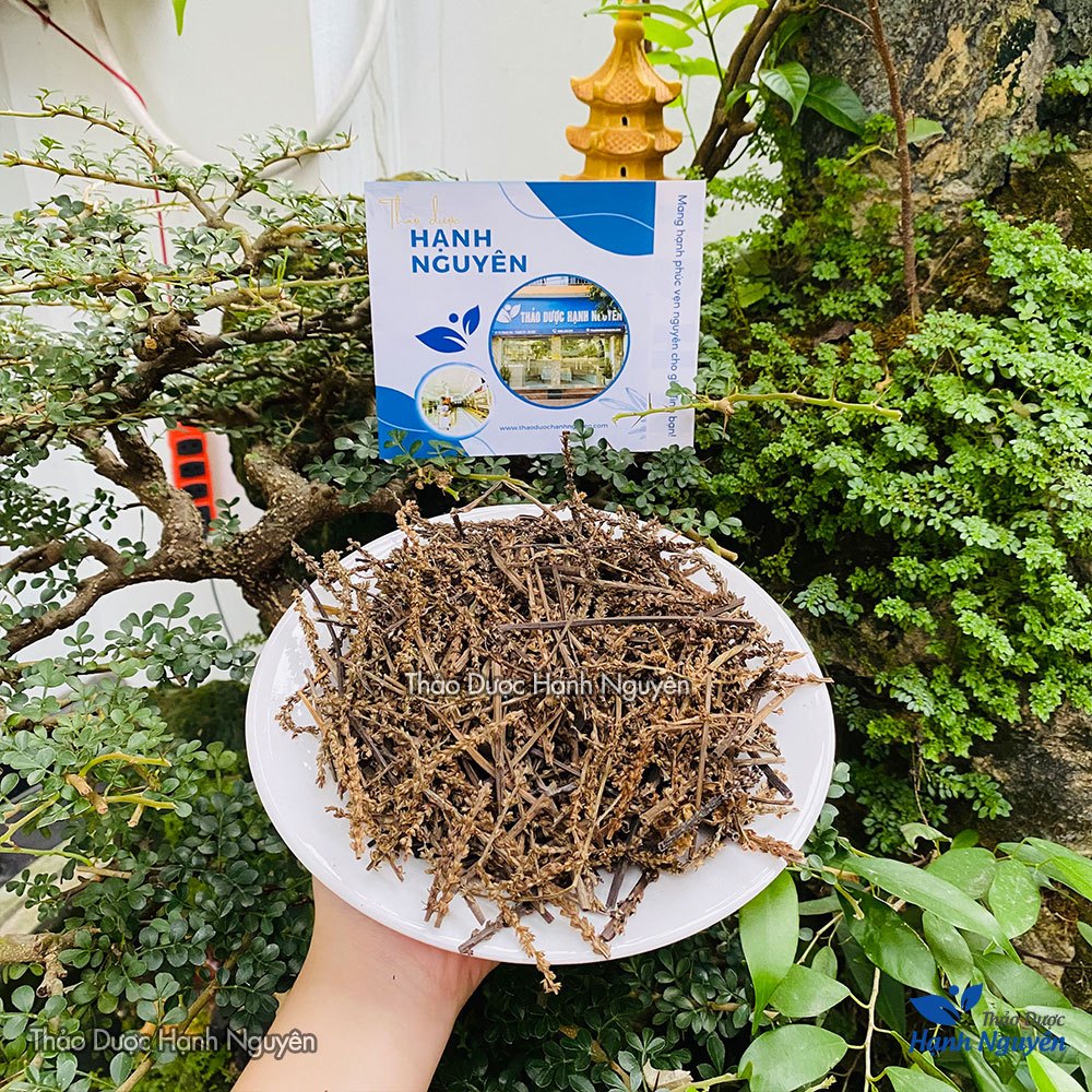 Bông mã đề khô 100g, hàng loại 1, bông sạch, thơm, ko lẫn lá - Thảo Dược Hạnh Nguyên