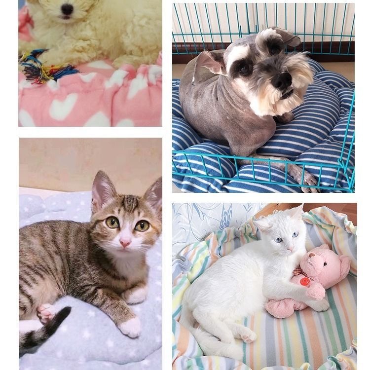 Đệm lông tròn dây rút dành cho chó mèo cao cấp