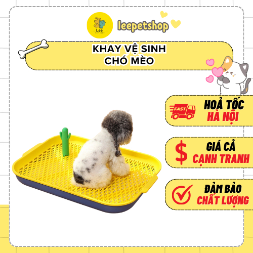 Khay vệ sinh cho cho mèo 2 tầng tháo lắp tiện lợi - Khay vệ sinh cho thú cưng hình xương rồng