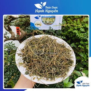 Giảo cổ lam Sapa 500g, hàng 7 lá khô, thơm, sạch -Thảo Dược Hạnh Nguyên