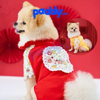 Áo dài tết cho chó mèo hoa ren