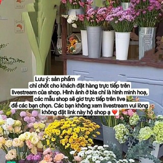 Đầm 2hand lựa trên live stream