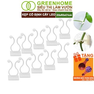 10 Kẹp Cố Định Cây Dây Leo Greenhome, D3xr3cm, Dụng Cụ Làm Vườn, Gắn Tường Tiện Lợi, Dễ Lắp Đặt