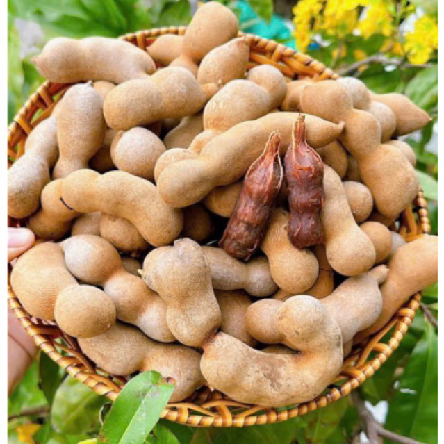1Kg Me Thái Sấy Khô - Me ngon ngọt, mật nhiều