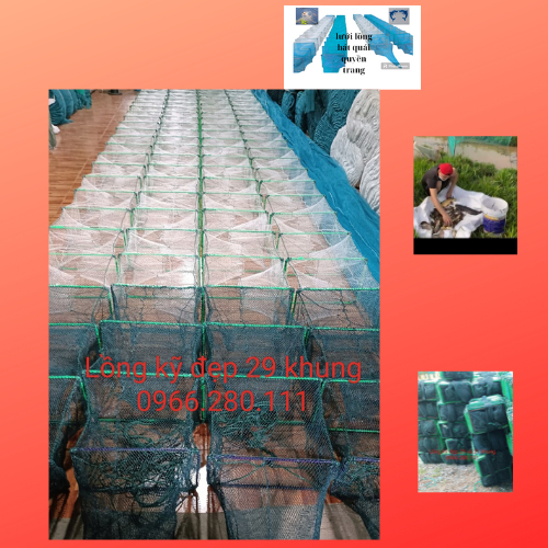Lưới lồng tôm cua cá 29 khung dài 10m khung cao 22/35cm lỗ mắt lưới 1.3cm đuôi đen,lưới bát quái tôm cua cá
