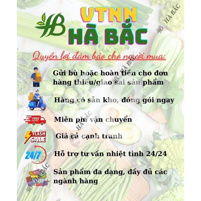 Bình Xịt 4 Lít Dudaco, Dùng Phun Tưới, Bền, Nhỏ Gọn, Tiện Lợi - Hàng Chính