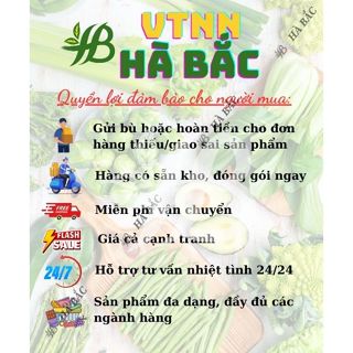 Bình Xịt 4 Lít Dudaco, Dùng Phun Tưới, Bền, Nhỏ Gọn, Tiện Lợi - Hàng Chính