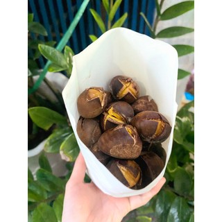 [ CHỈ GIAO HOẢ TỐC ] 1kg Hạt Dẻ Rang - Hấp Thơm Ngon