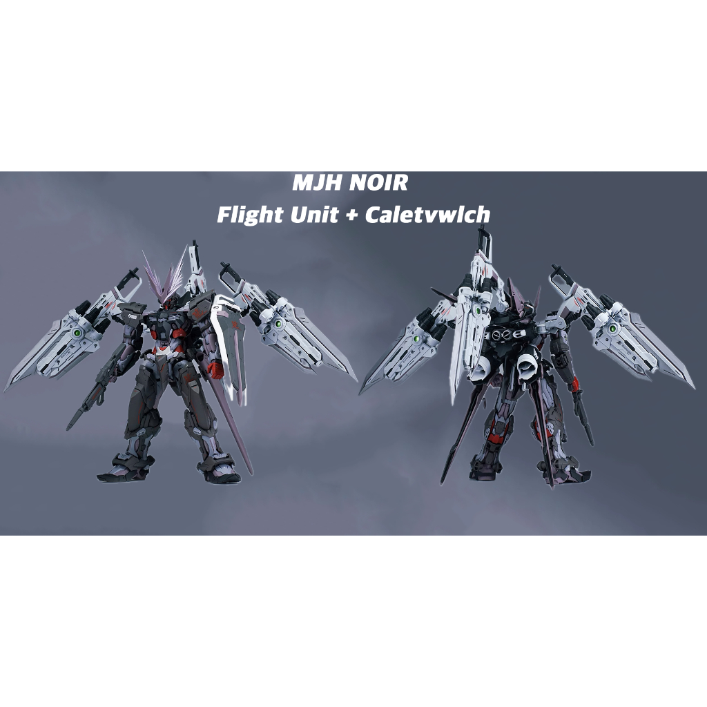 Mô Hình Lắp Ráp Phụ Kiện MG HiRM 1/100 Astray Red Dragon