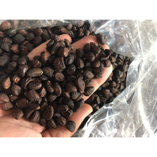 Hạt dổi đặc sản Tây Bắc