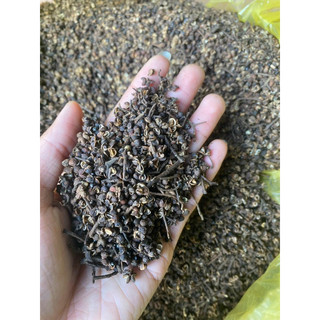 Hạt dổi đặc sản Tây Bắc