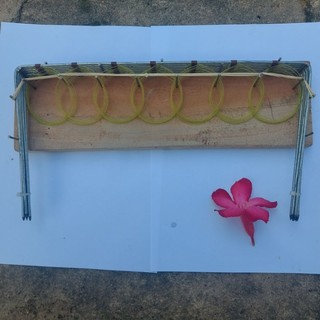 vòng bẫy cút bộ 7 khung