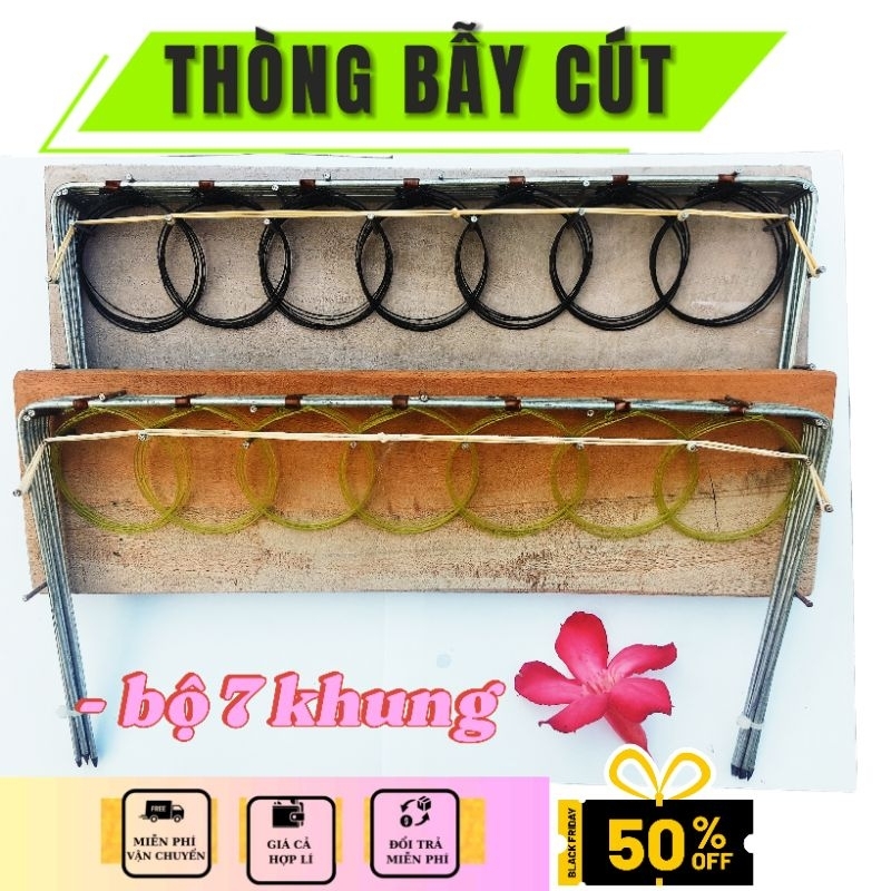 vòng bẫy cút bộ 7 khung