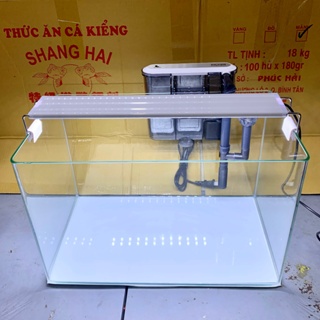 Combo Bể Đèn Lọc Dài 50/60 Cho Hồ Đúc 50