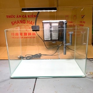 Combo Bể Đèn Lọc Dài 50/60 Cho Hồ Đúc 50
