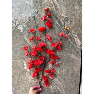 Cành hoa anh đào