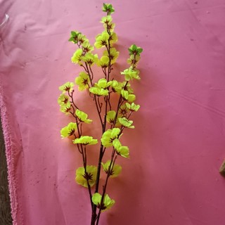 Cành hoa anh đào