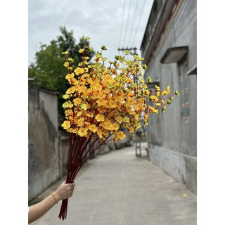 Cành hoa anh đào