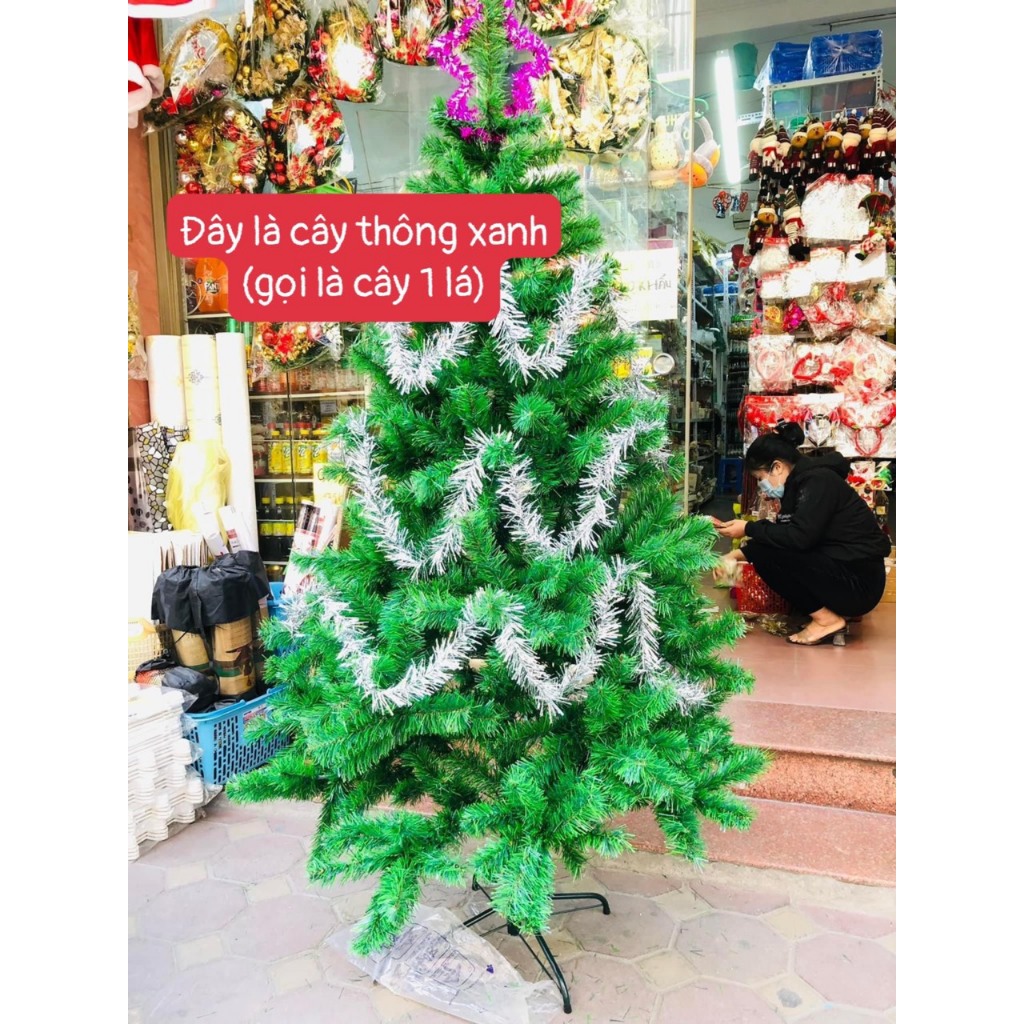 CÂY THÔNG PHỦ TUYẾT,CÂY THÔNG XANH HÀNG VIỆT NAM LOẠI 1