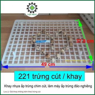 Khay nhựa ấp trứng chim cút 221 quả/ khay làm máy ấp trứng cút đảo nghiêng KC221
