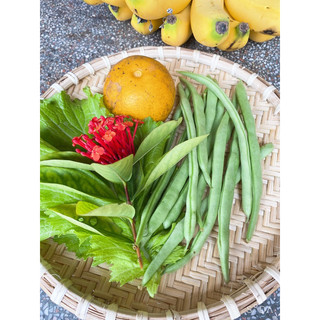 Mẹt tre đan kỹ 30cm