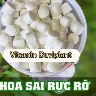 sale phân bón hữu cơ dưỡng cây tan chậm Buviplant