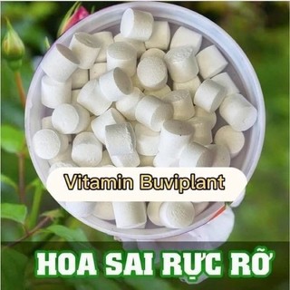 sale phân bón hữu cơ dưỡng cây tan chậm Buviplant
