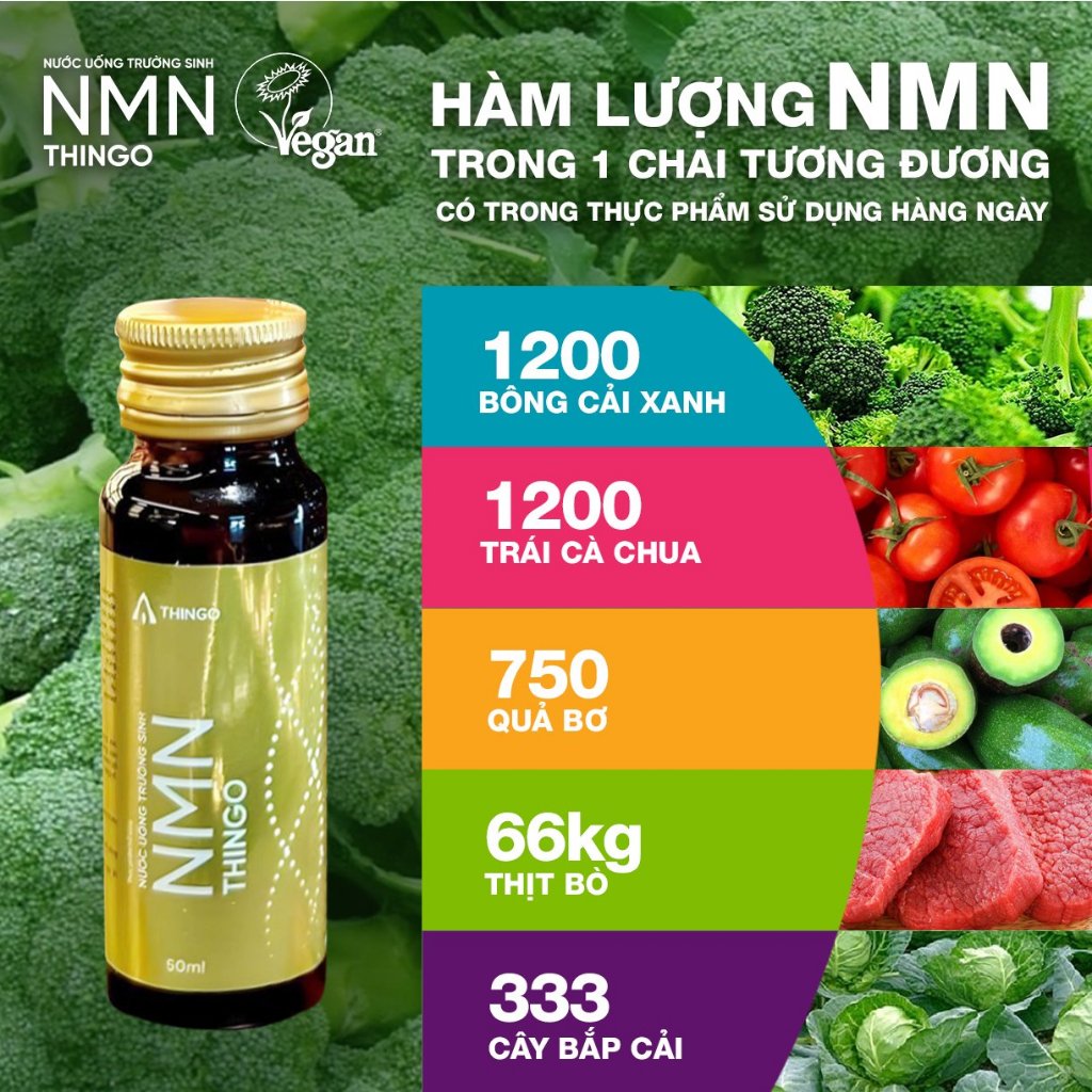 Nước Uống Trường Sinh NMN Thingo - Trẻ Hóa Làn Da, Nâng Cao Sức Khỏe Và Hệ Miễn Dịch 10X50ML