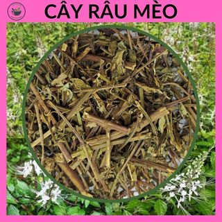 Cây râu mèo, loại khô, hàng mới đẹp, túi 500g & 1kg