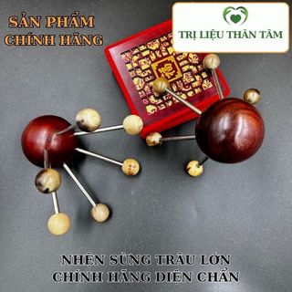 Dụng cụ nhện đa năng lớn - nhỏ bằng sừng trâu Diện Chẩn Thân Tâm