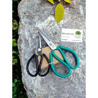 Kéo cắt vải cắt giấy rẻ