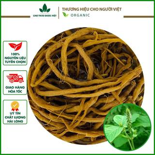 Ngưu tất nam 100g thơm, sạch - Chợ Thảo Dược Việt