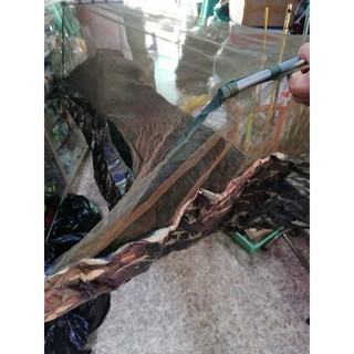 Võng Mùng 2m5 ( Hàng Cao Cấp )