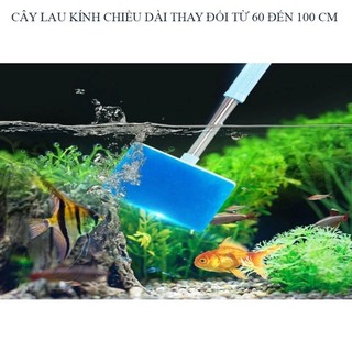 Cây Lau Kính Vệ Sinh Chà Hồ Cá Thủy Sinh Hồ Cá Cảnh Cán Inox Bền Đẹp