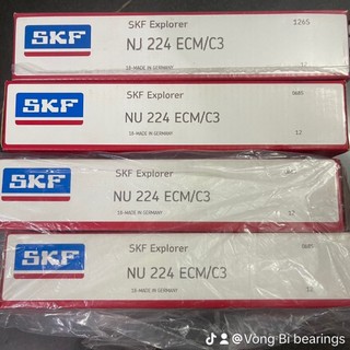Vòng bi bac dan nj nu 204 205 206 207 208 209 210