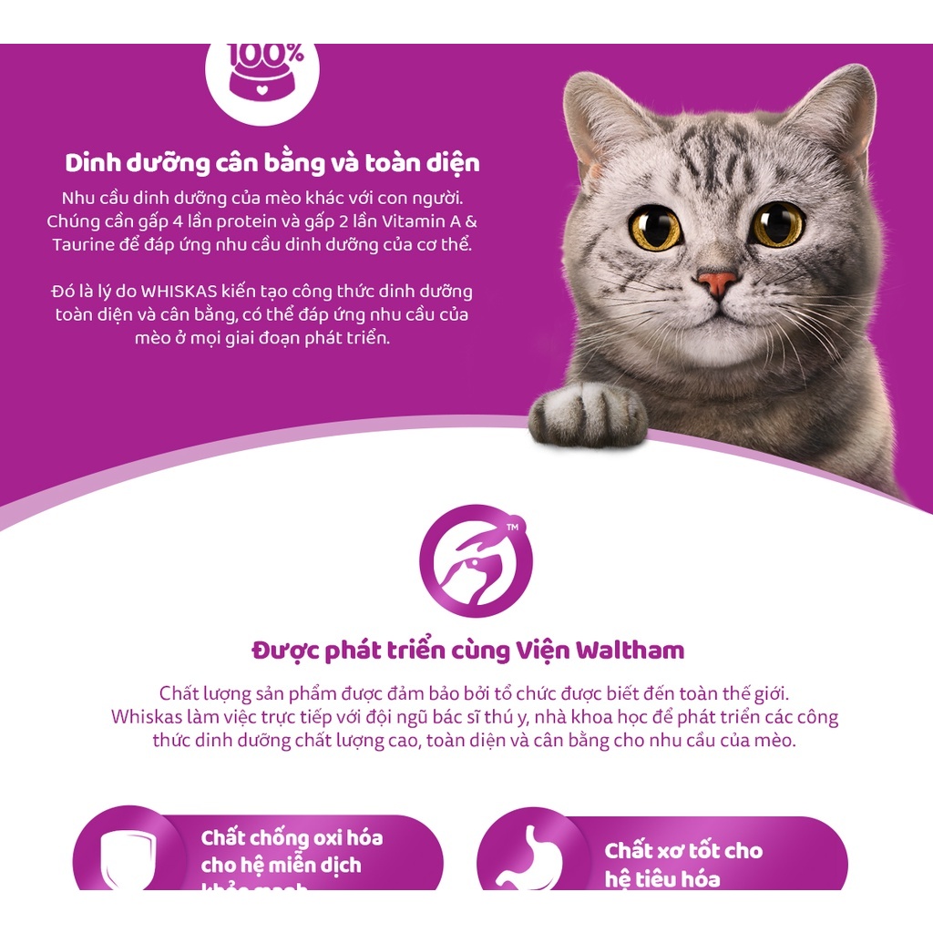 Pate dành cho mèo Whiskas 80g