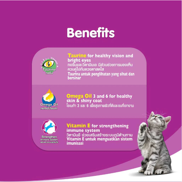 Pate dành cho mèo Whiskas 80g