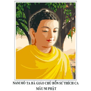(HCM 40*50) Tranh Tô Màu theo số hóa Phật Thích Ca KT 40*50cm đã có khung tặng kèm sơn bóng
