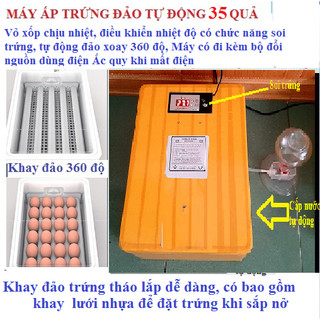 Máy ấp trứng lắp ráp thông minh MINI 50 quả(bao gồm cả hộp xốp)
