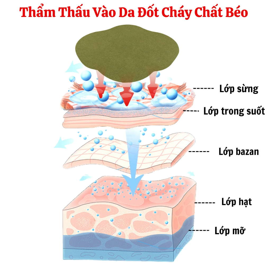 Miếng Dán Tan Mỡ Ngải Cứu Giảm Mỡ Thừa Hiệu Quả, Hộp 5 Miếng Dán Đốt Cháy Mỡ Thừa Hiệu Quả Lấy Lại Vóc Dáng