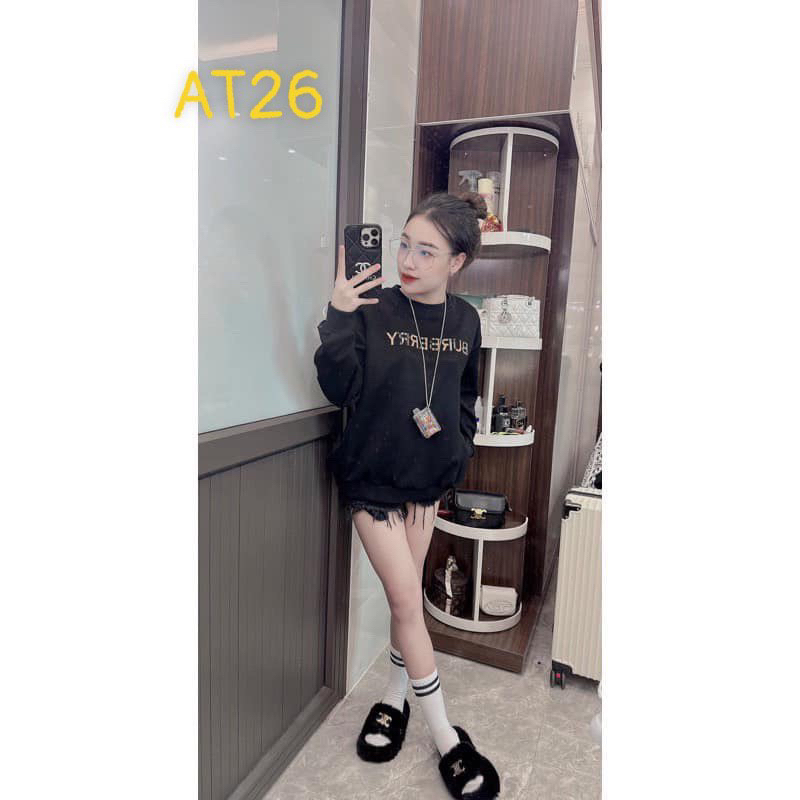 Áo nỉ cổ tròn các mẫu  unisex nam nữ dày dặn THA588