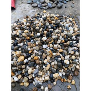 1 kg đá trang trí bể cá, tiểu cảnh, sân vườn nhiều size nhiều màu sắc. sỏi trắng trang trí bể cá tiểu cảnh,sỏi tự nhiên