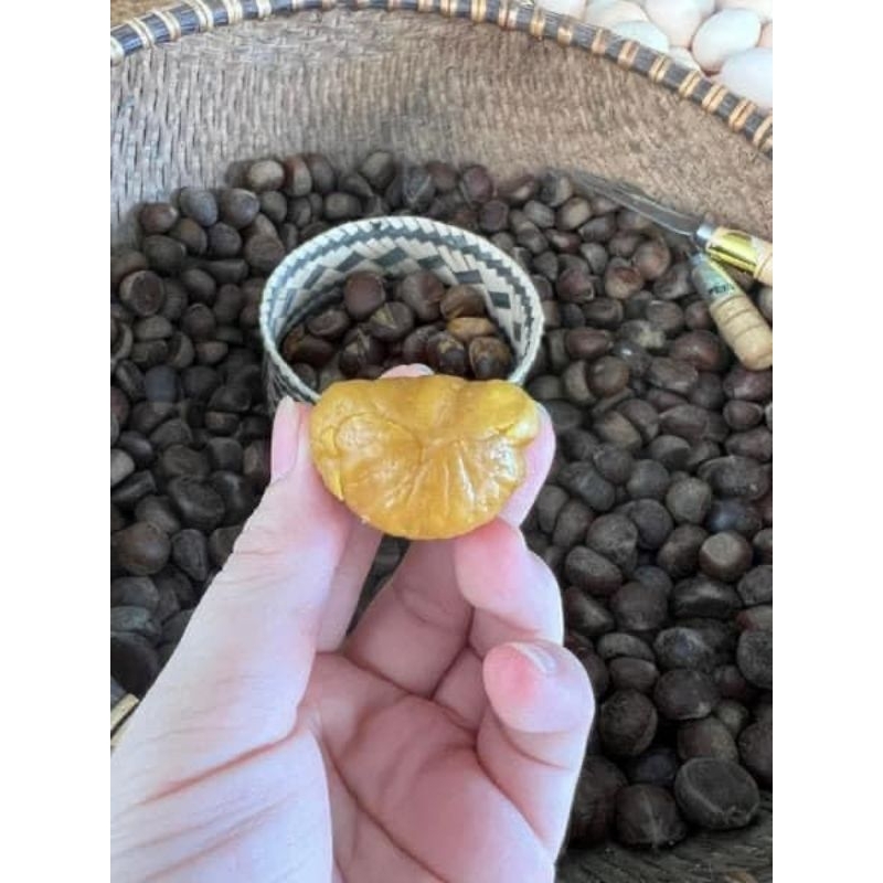 Hạt dẻ Vip, bao ngon